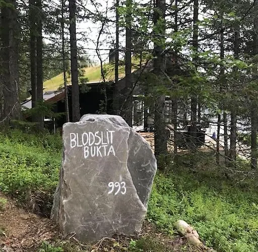 Ferienhaus Ved Andsvatnet Bardufoss