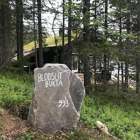 Сasa de vacaciones Ved Andsvatnet Bardufoss